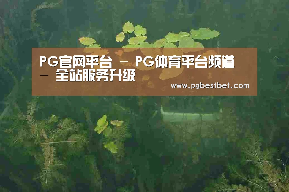 案例展示三