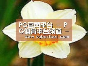 产品名称四