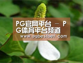 产品名称三