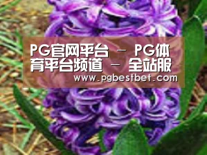 产品名称八