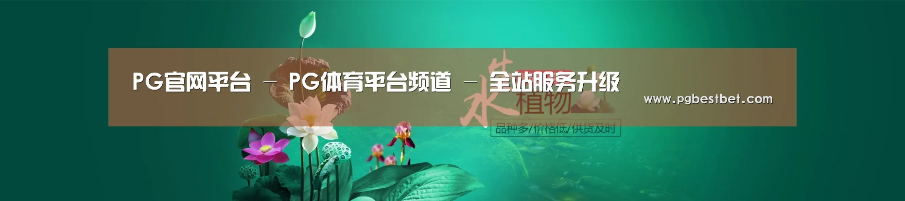 鲜花水草花卉网站模板