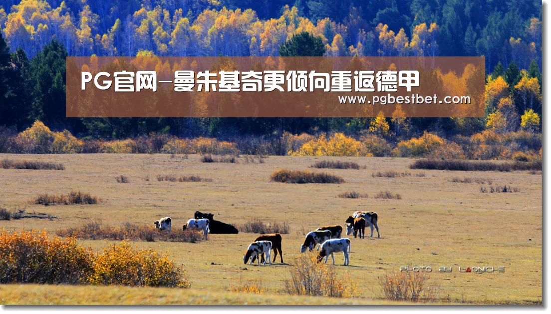 PG官网-曼朱基奇更倾向重返德甲(图2) PG官网